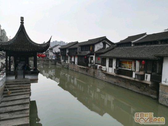 摩娜的时尚装扮